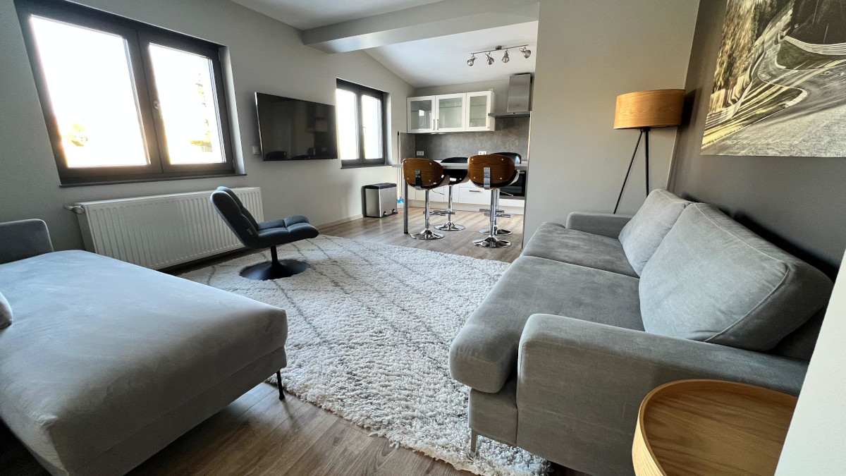 Large Luxury Family Apartment